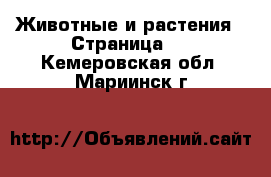  Животные и растения - Страница 4 . Кемеровская обл.,Мариинск г.